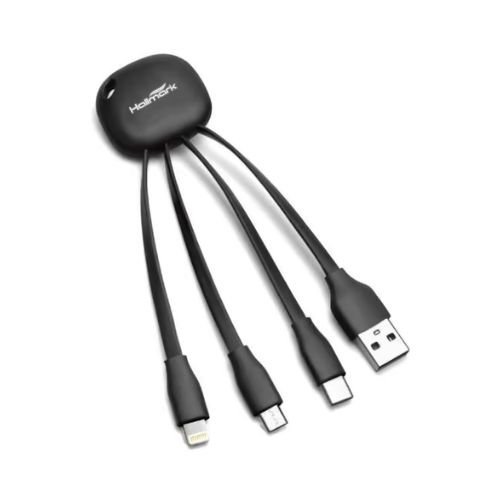 Light Up Logo Charging Cable